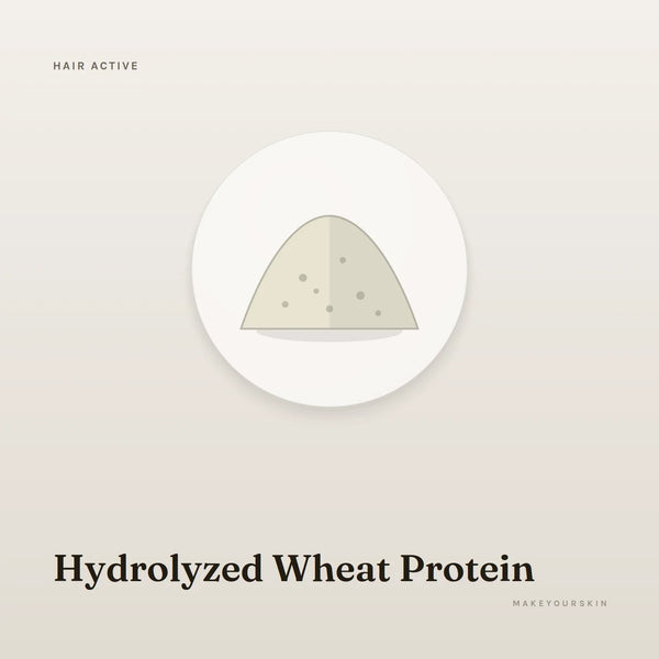 Hydrolyzed Wheat Protein — powder, Global — MakeYourSkin