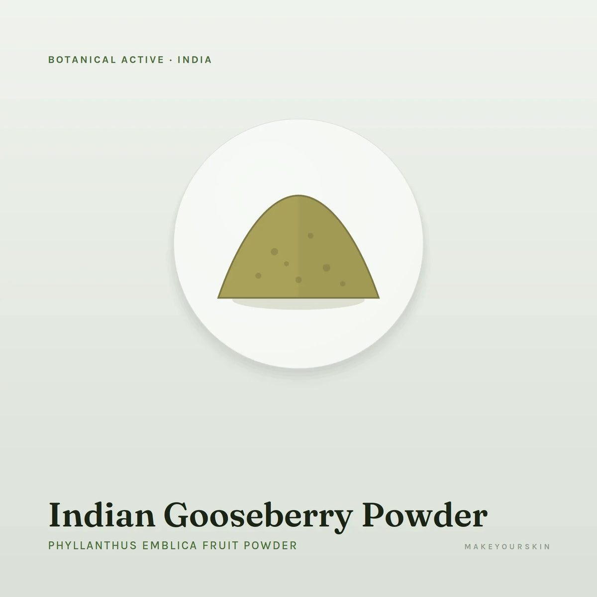 Indian Gooseberry Powder (Phyllanthus Emblica Fruit Powder) — powder, India · Ayurveda — MakeYourSkin