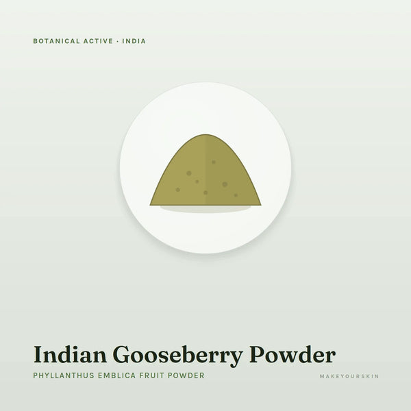 Indian Gooseberry Powder (Phyllanthus Emblica Fruit Powder) — powder, India · Ayurveda — MakeYourSkin
