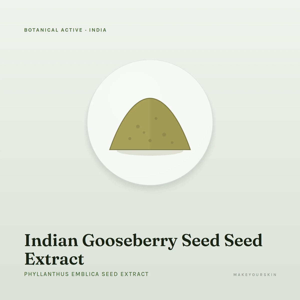 Indian Gooseberry Seed Seed Extract (Phyllanthus Emblica Seed Extract) — powder, India · Ayurveda — MakeYourSkin