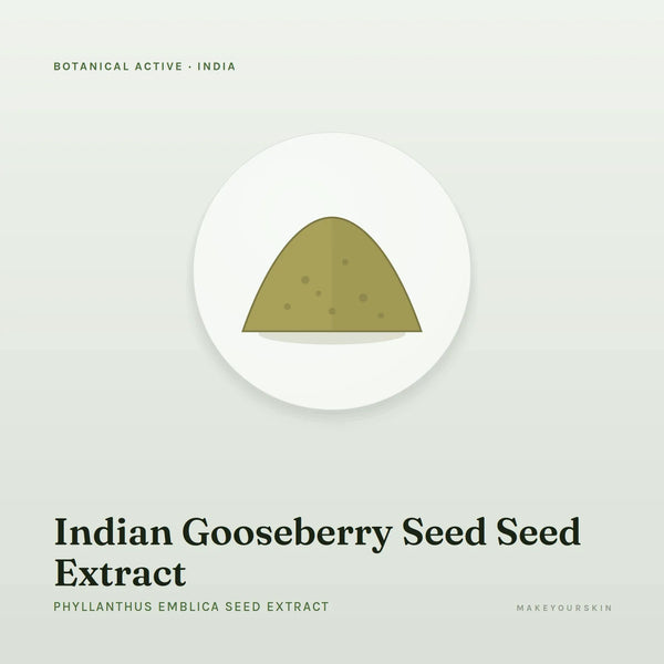 Indian Gooseberry Seed Seed Extract (Phyllanthus Emblica Seed Extract) — powder, India · Ayurveda — MakeYourSkin