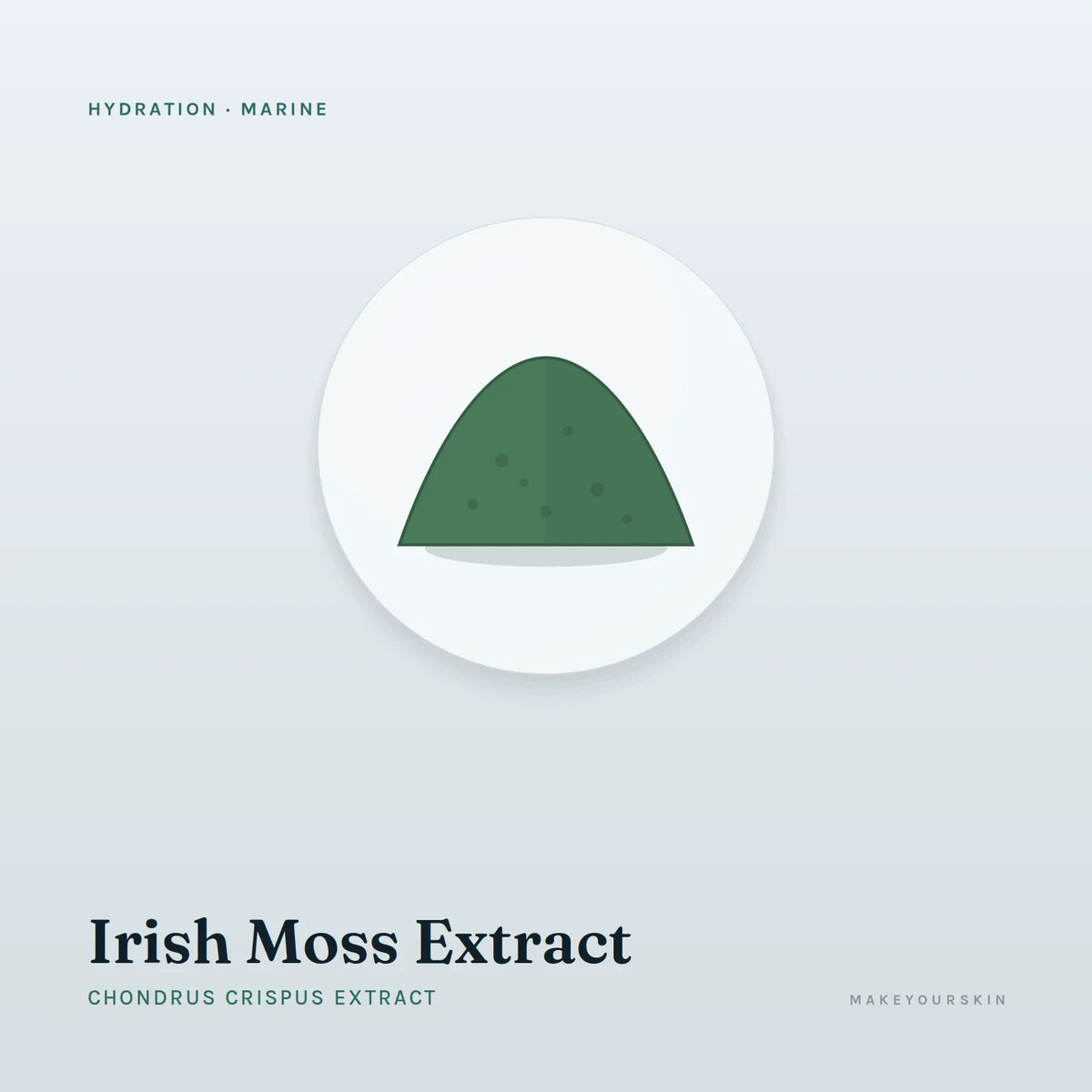 Irish Moss Extract (Chondrus Crispus Extract) — powder, Marine · Algae — MakeYourSkin