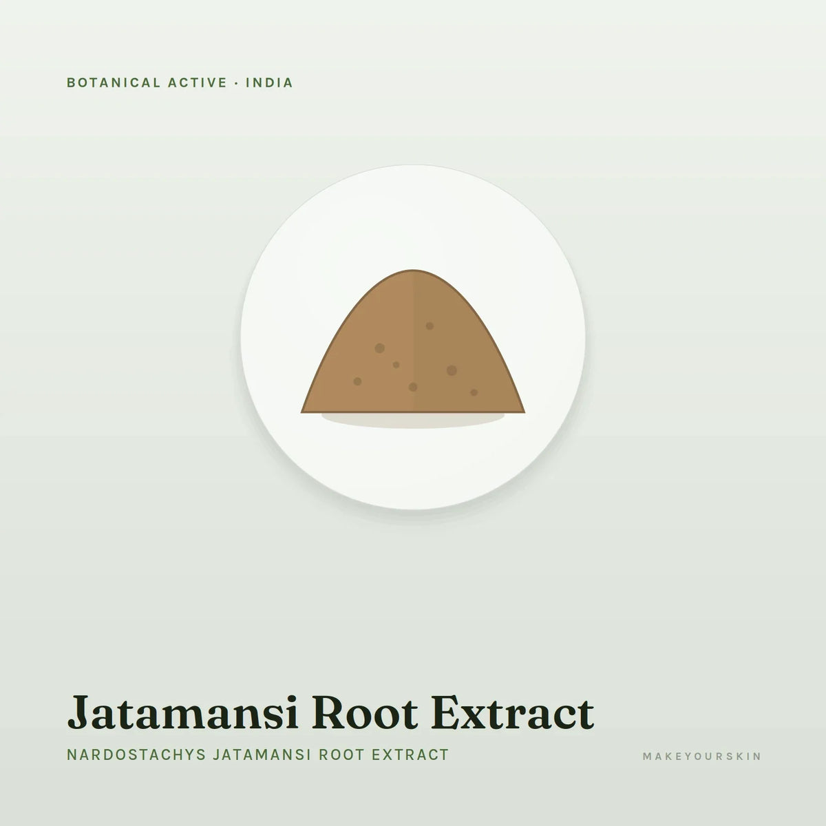 Jatamansi Root Extract (Nardostachys Jatamansi Root Extract) — powder, India · Ayurveda — MakeYourSkin