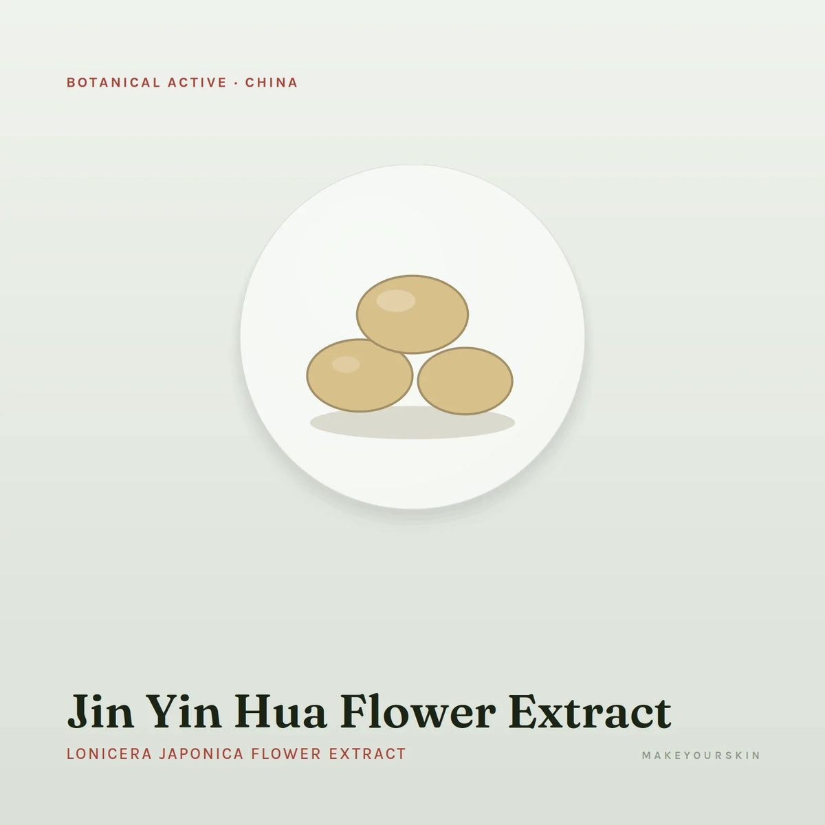 Jin Yin Hua Flower Extract (Lonicera Japonica Flower Extract) — wax / solid, China · TCM — MakeYourSkin