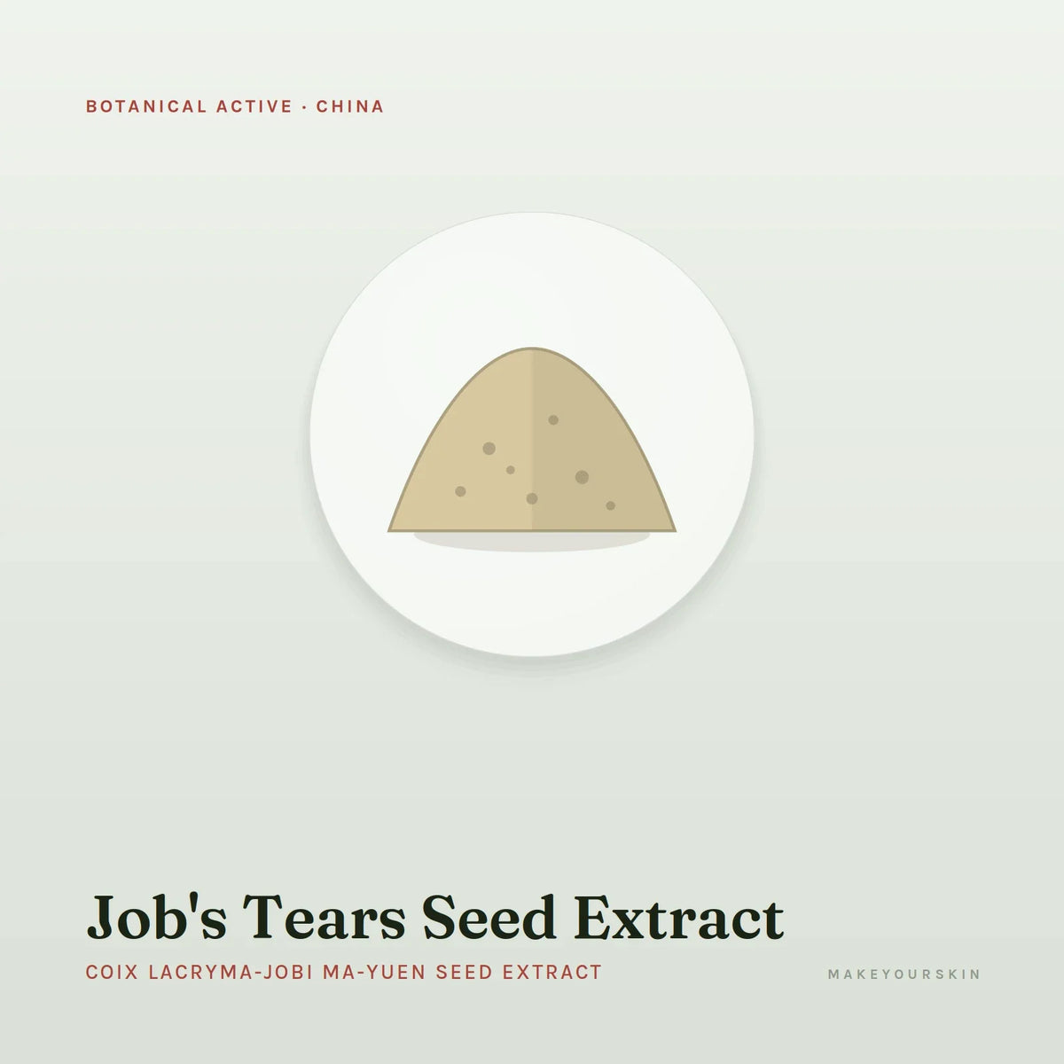Job's Tears Seed Extract (Coix Lacryma-Jobi Ma-yuen Seed Extract) — powder, China · TCM — MakeYourSkin