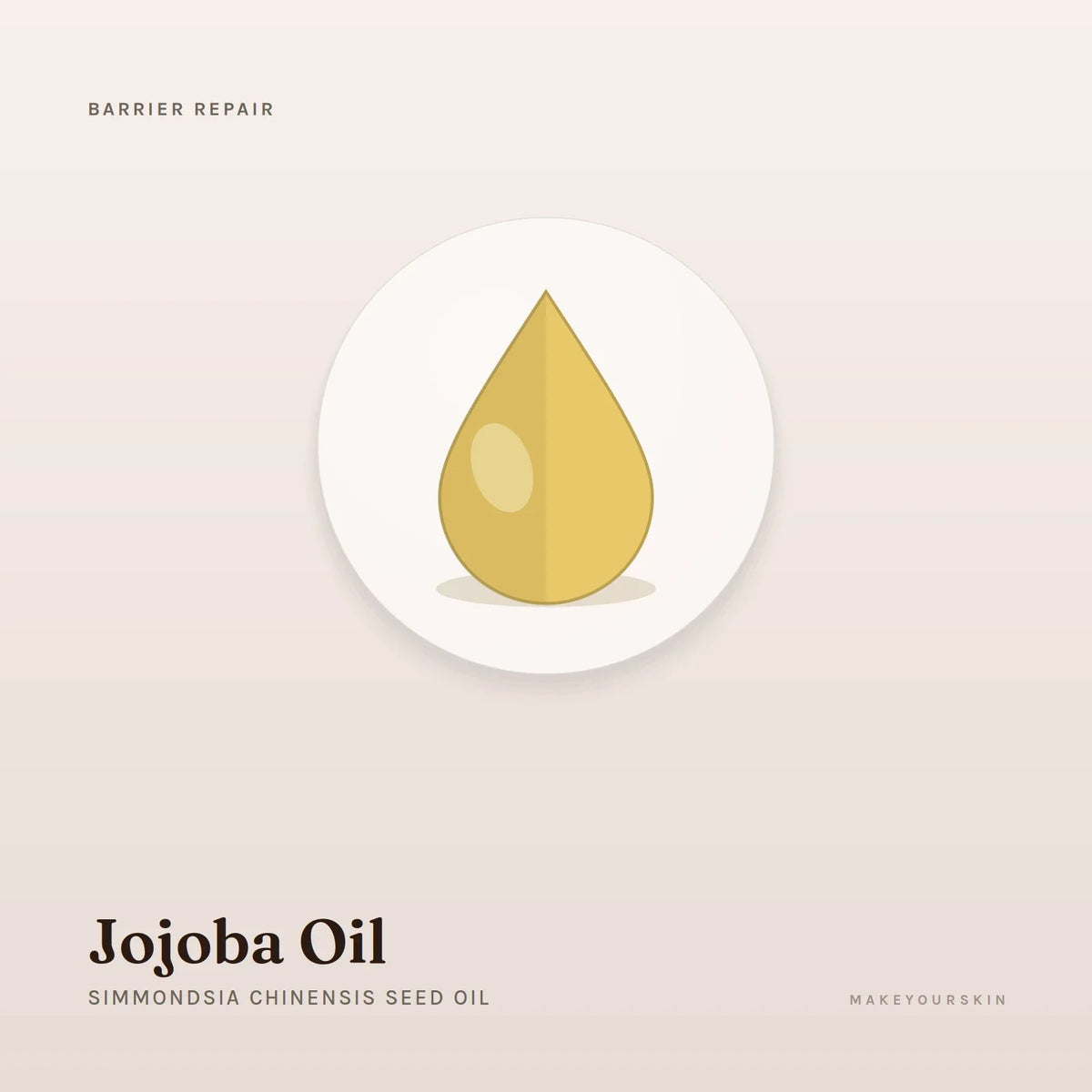 Jojoba Oil (Simmondsia Chinensis Seed Oil) — oil, Global — MakeYourSkin