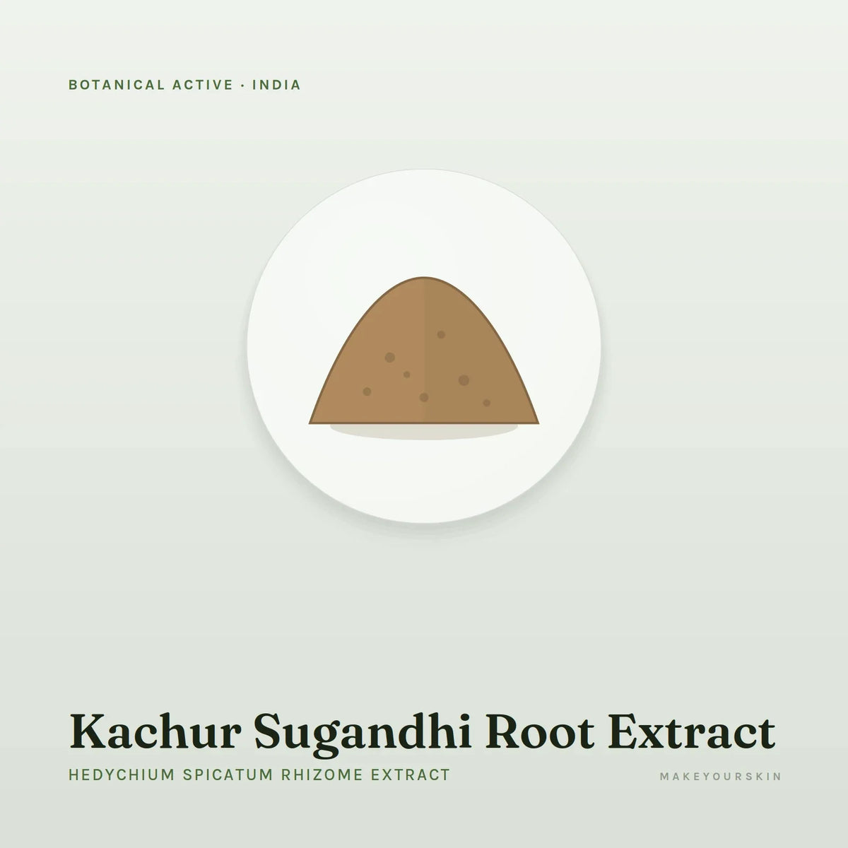 Kachur Sugandhi Root Extract (Hedychium Spicatum Rhizome Extract) — powder, India · Ayurveda — MakeYourSkin