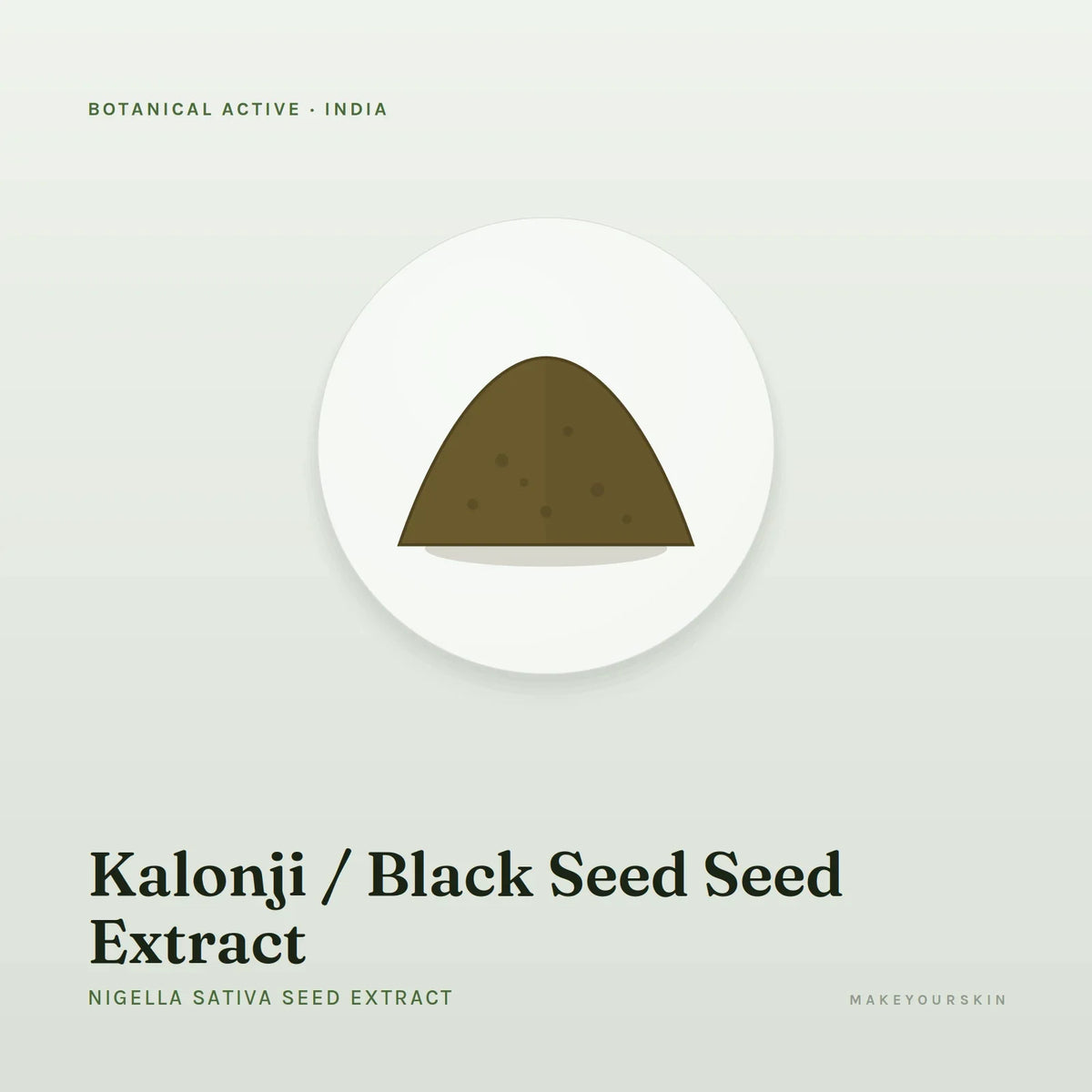 Kalonji / Black Seed Seed Extract (Nigella Sativa Seed Extract) — powder, India · Ayurveda — MakeYourSkin