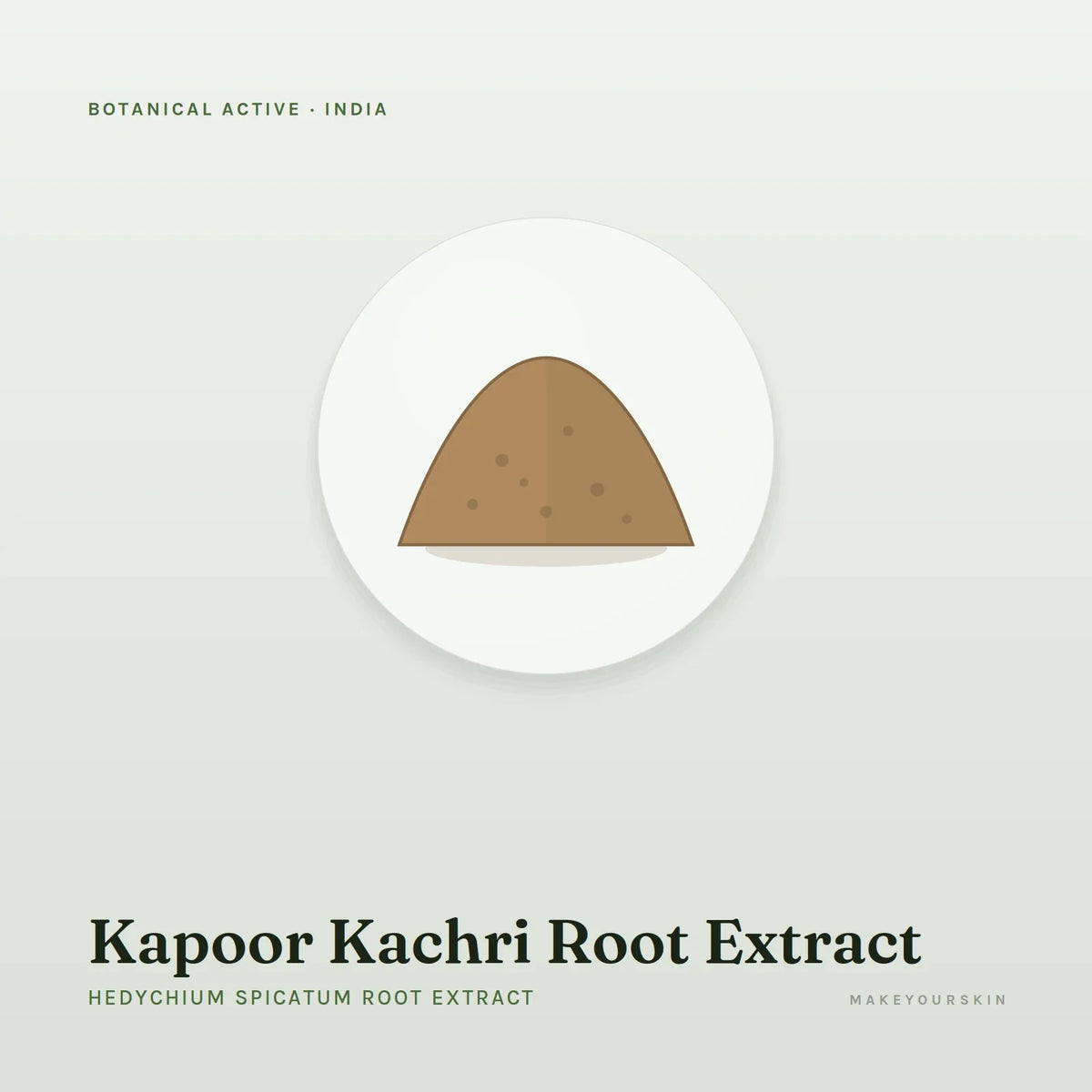 Kapoor Kachri Root Extract (Hedychium Spicatum Root Extract) — powder, India · Ayurveda — MakeYourSkin