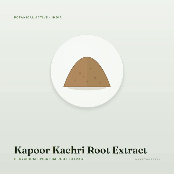 Kapoor Kachri Root Extract (Hedychium Spicatum Root Extract) — powder, India · Ayurveda — MakeYourSkin