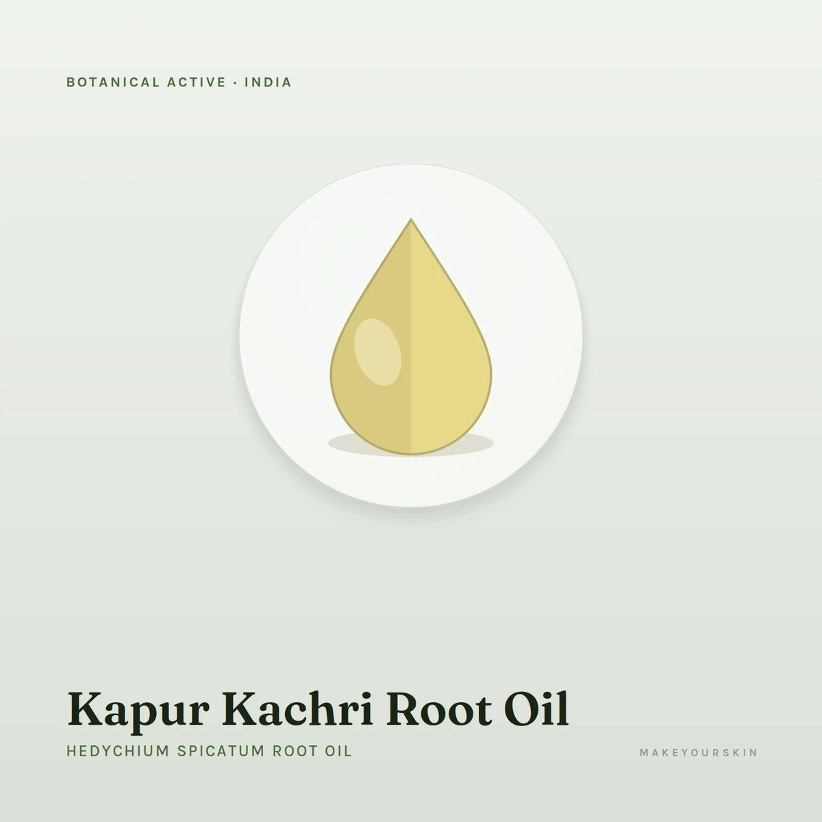 Kapur Kachri Root Oil (Hedychium Spicatum Root Oil) — oil, India · Ayurveda — MakeYourSkin