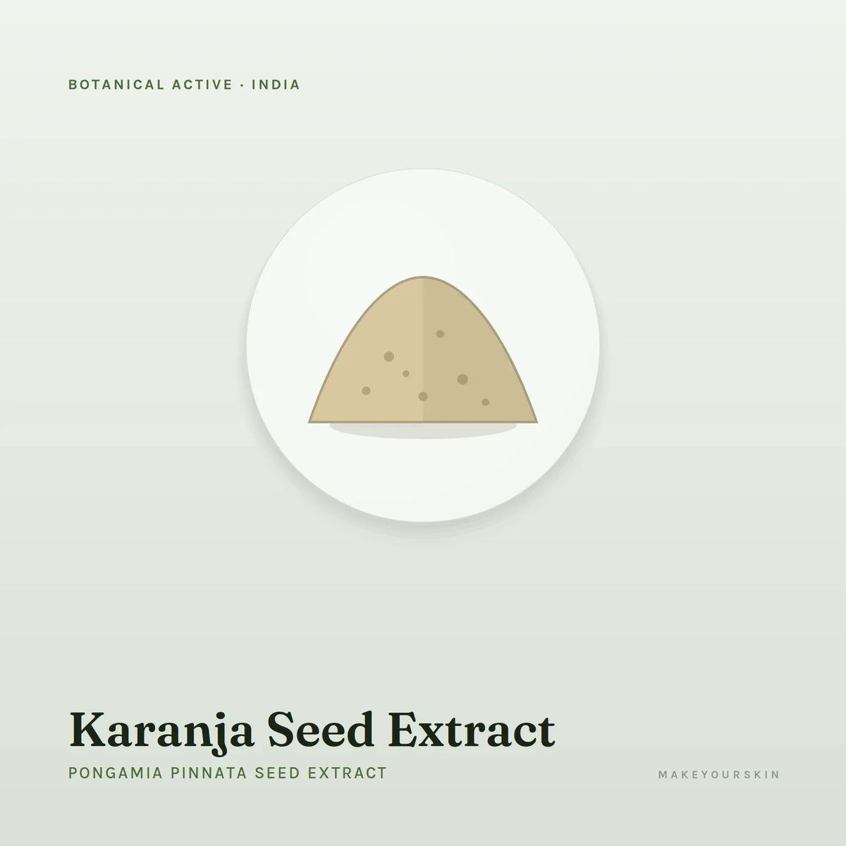 Karanja Seed Extract (Pongamia Pinnata Seed Extract) — powder, India · Ayurveda — MakeYourSkin