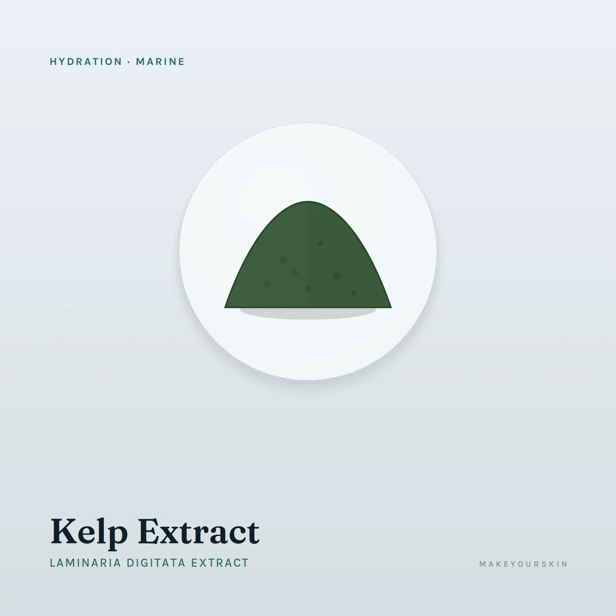 Kelp Extract (Laminaria Digitata Extract) — powder, Marine · Algae — MakeYourSkin