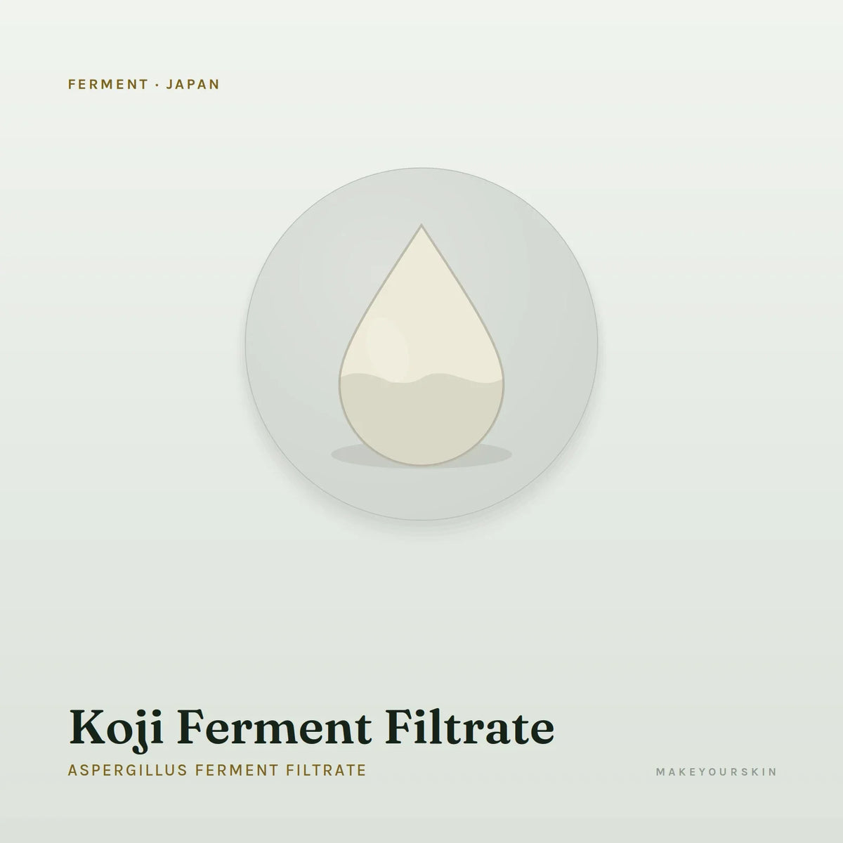 Koji Ferment Filtrate (Aspergillus Ferment Filtrate) — liquid, Japan · J-Beauty — MakeYourSkin
