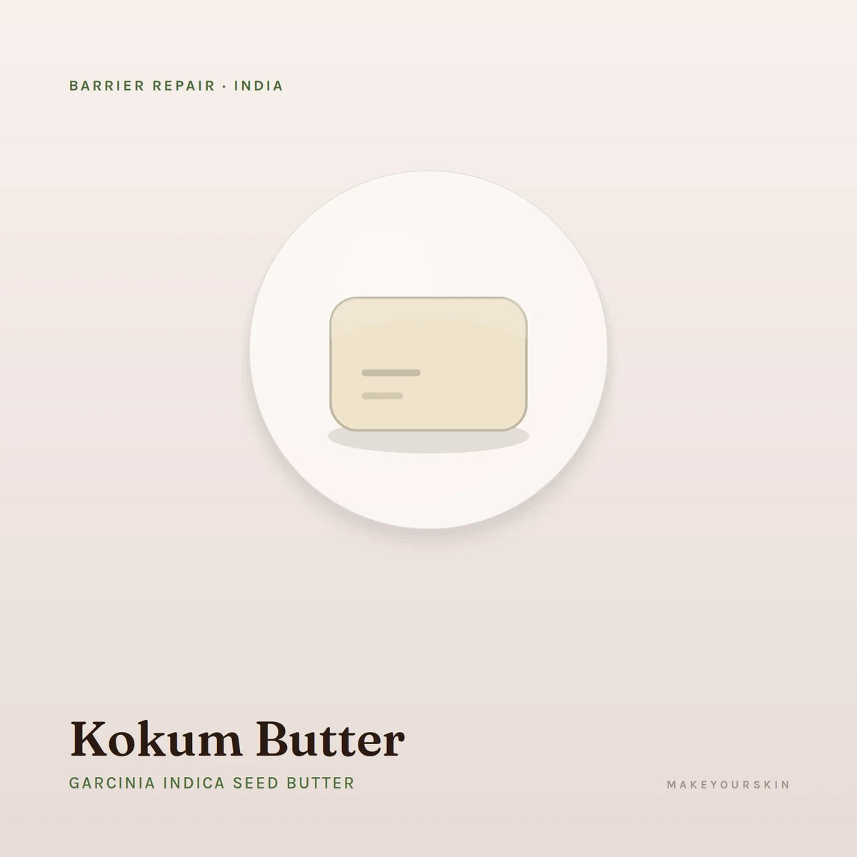 Kokum Butter (Garcinia Indica Seed Butter) — butter, India · Ayurveda — MakeYourSkin