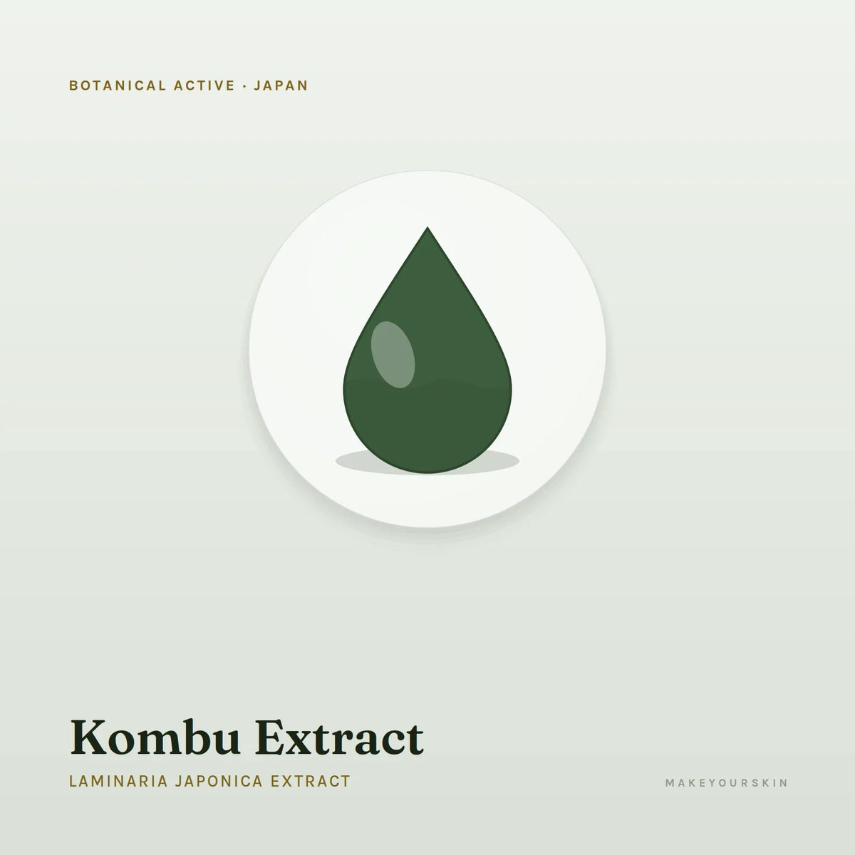 Kombu Extract (Laminaria Japonica Extract) — liquid, Japan · J-Beauty — MakeYourSkin