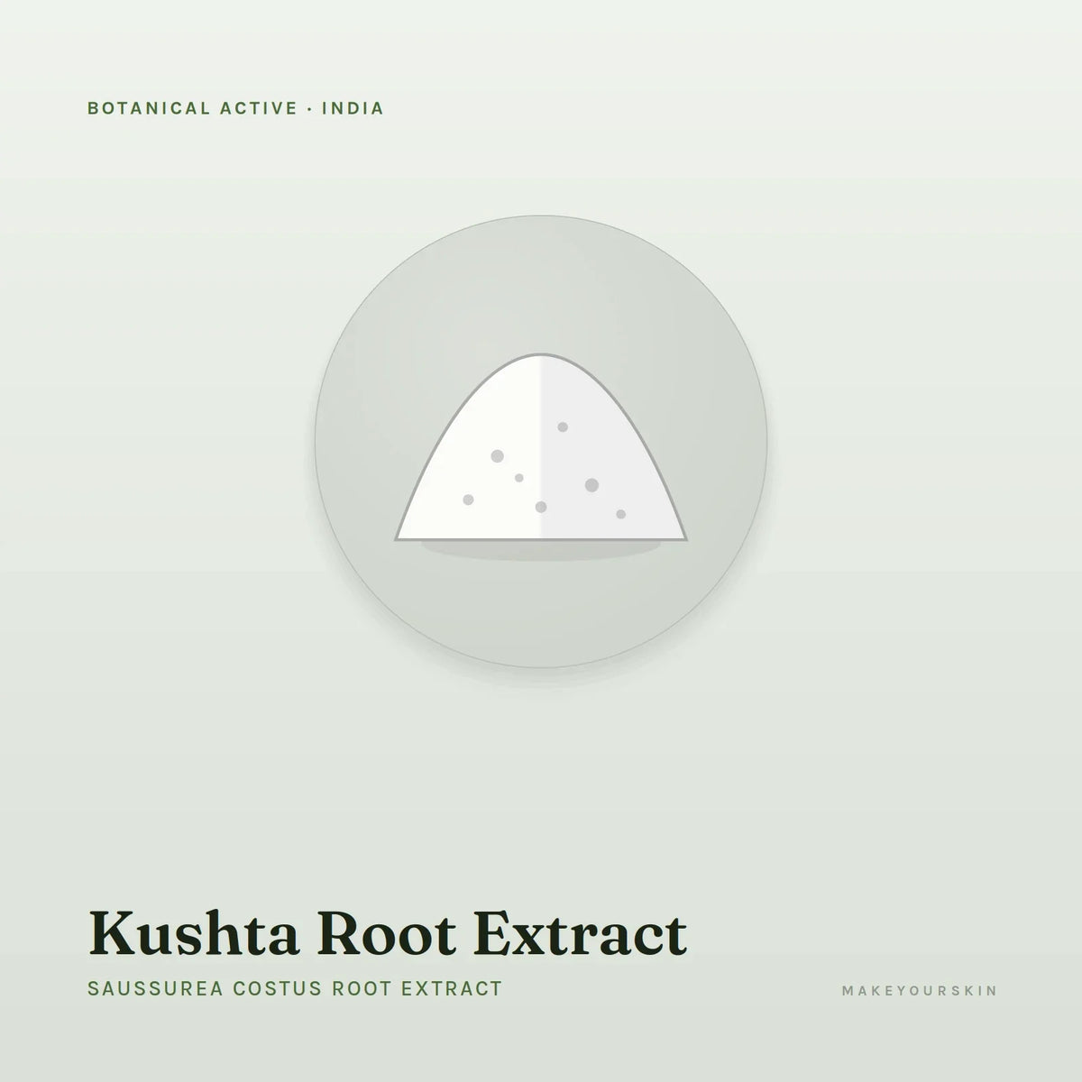 Kushta Root Extract (Saussurea Costus Root Extract) — powder, India · Ayurveda — MakeYourSkin