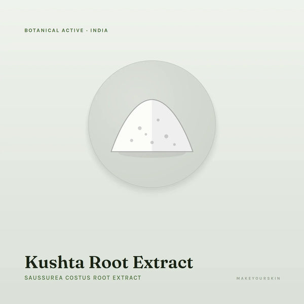 Kushta Root Extract (Saussurea Costus Root Extract) — powder, India · Ayurveda — MakeYourSkin