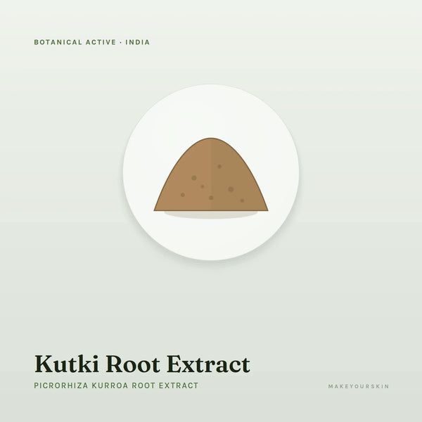Kutki Root Extract (Picrorhiza Kurroa Root Extract) — powder, India · Ayurveda — MakeYourSkin