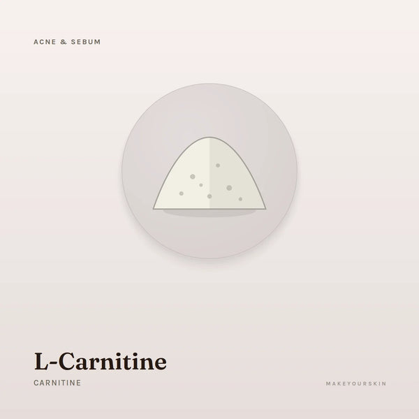 L-Carnitine (Carnitine) — powder, Global — MakeYourSkin