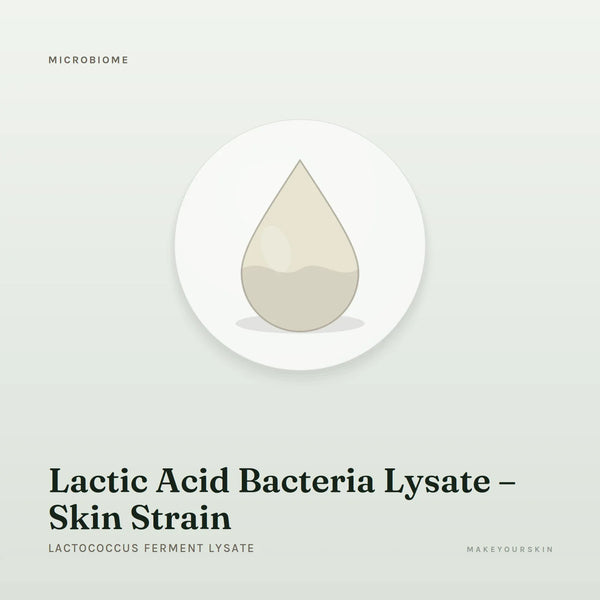 Lactic Acid Bacteria Lysate – Skin Strain (Lactococcus Ferment Lysate) — liquid, Global — MakeYourSkin
