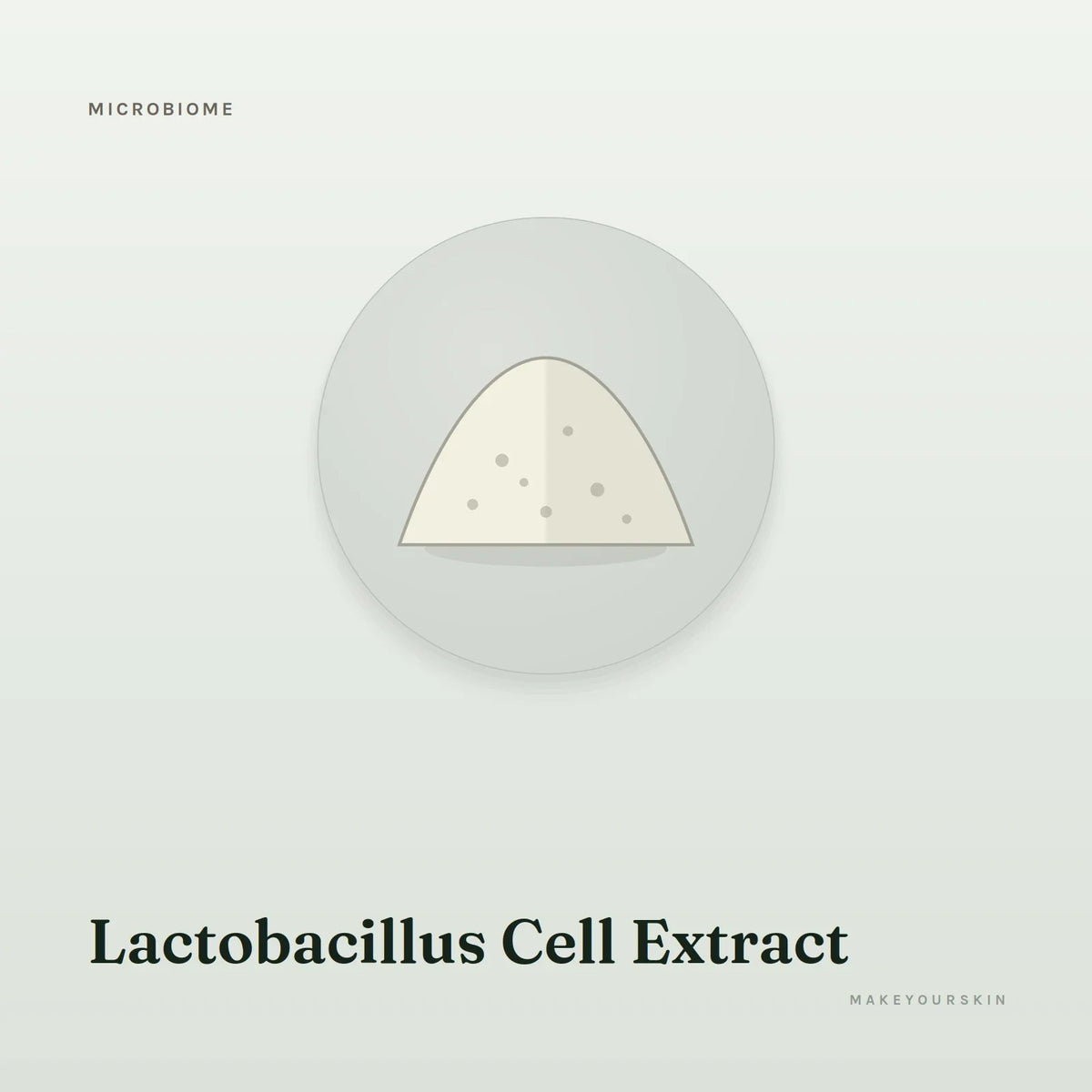 Lactobacillus Cell Extract — powder, Global — MakeYourSkin