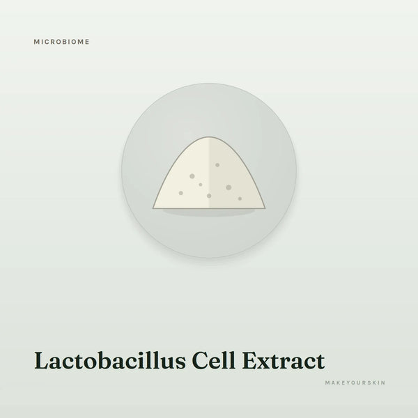 Lactobacillus Cell Extract — powder, Global — MakeYourSkin
