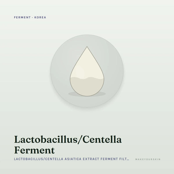 Lactobacillus/Centella Ferment (Lactobacillus/Centella Asiatica Extract Ferment Filtrate) — liquid, Korea · Japan — MakeYourSkin