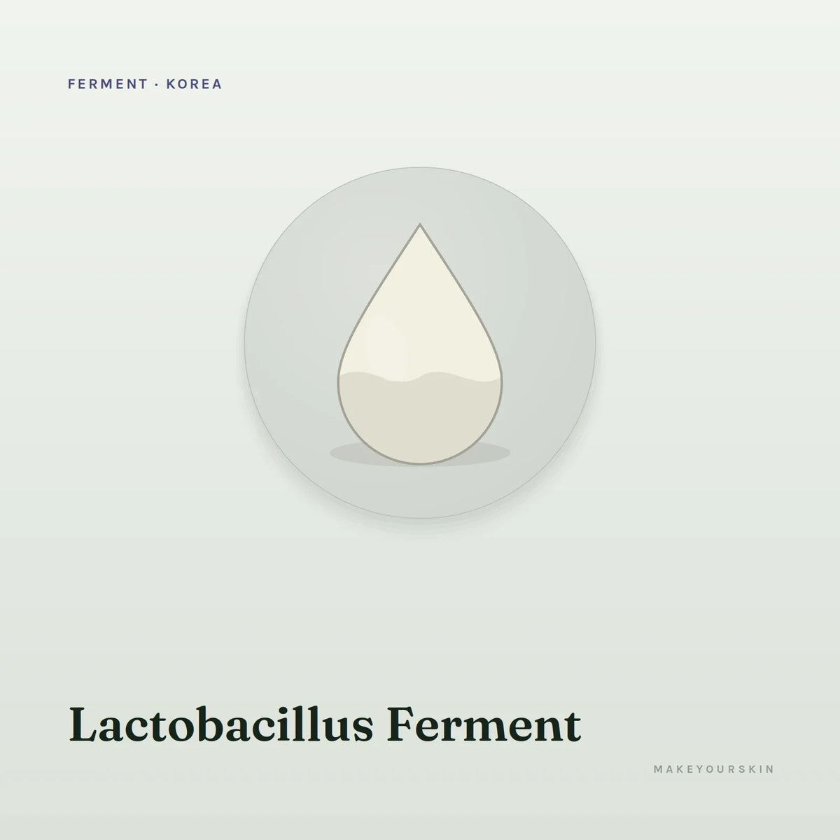 Lactobacillus Ferment — liquid, Korea · Japan — MakeYourSkin