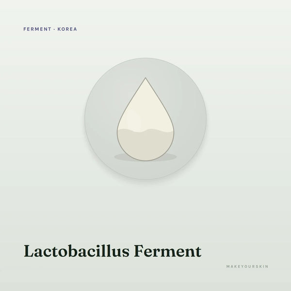 Lactobacillus Ferment — liquid, Korea · Japan — MakeYourSkin