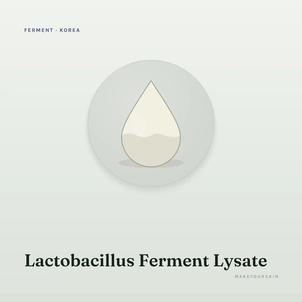 Lactobacillus Ferment Lysate — liquid, Korea · Japan — MakeYourSkin