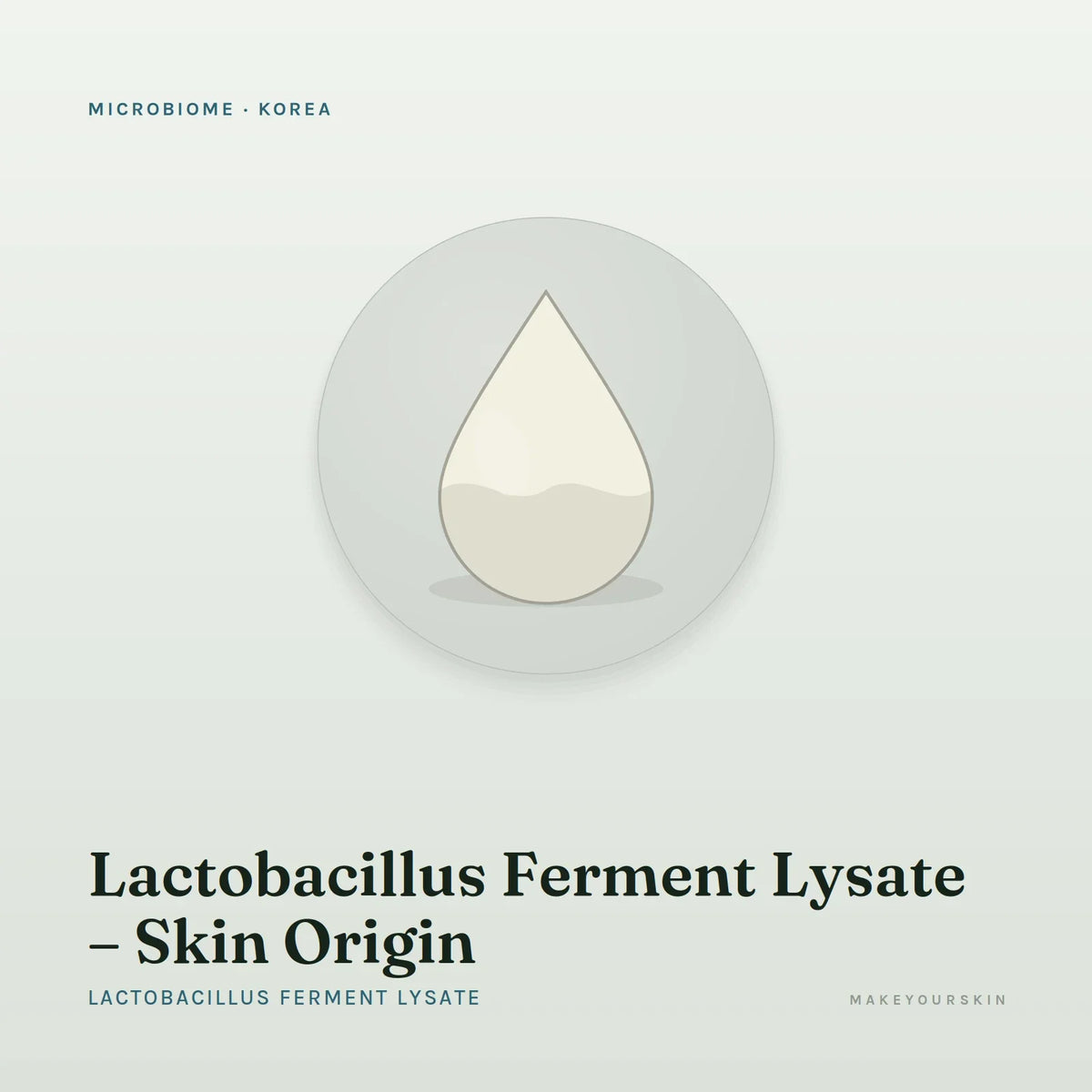 Lactobacillus Ferment Lysate – Skin Origin (Lactobacillus Ferment Lysate) — liquid, Korea · K-Beauty — MakeYourSkin