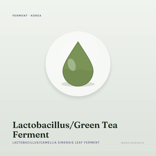 Lactobacillus/Green Tea Ferment (Lactobacillus/Camellia Sinensis Leaf Ferment) — liquid, Korea · Japan — MakeYourSkin