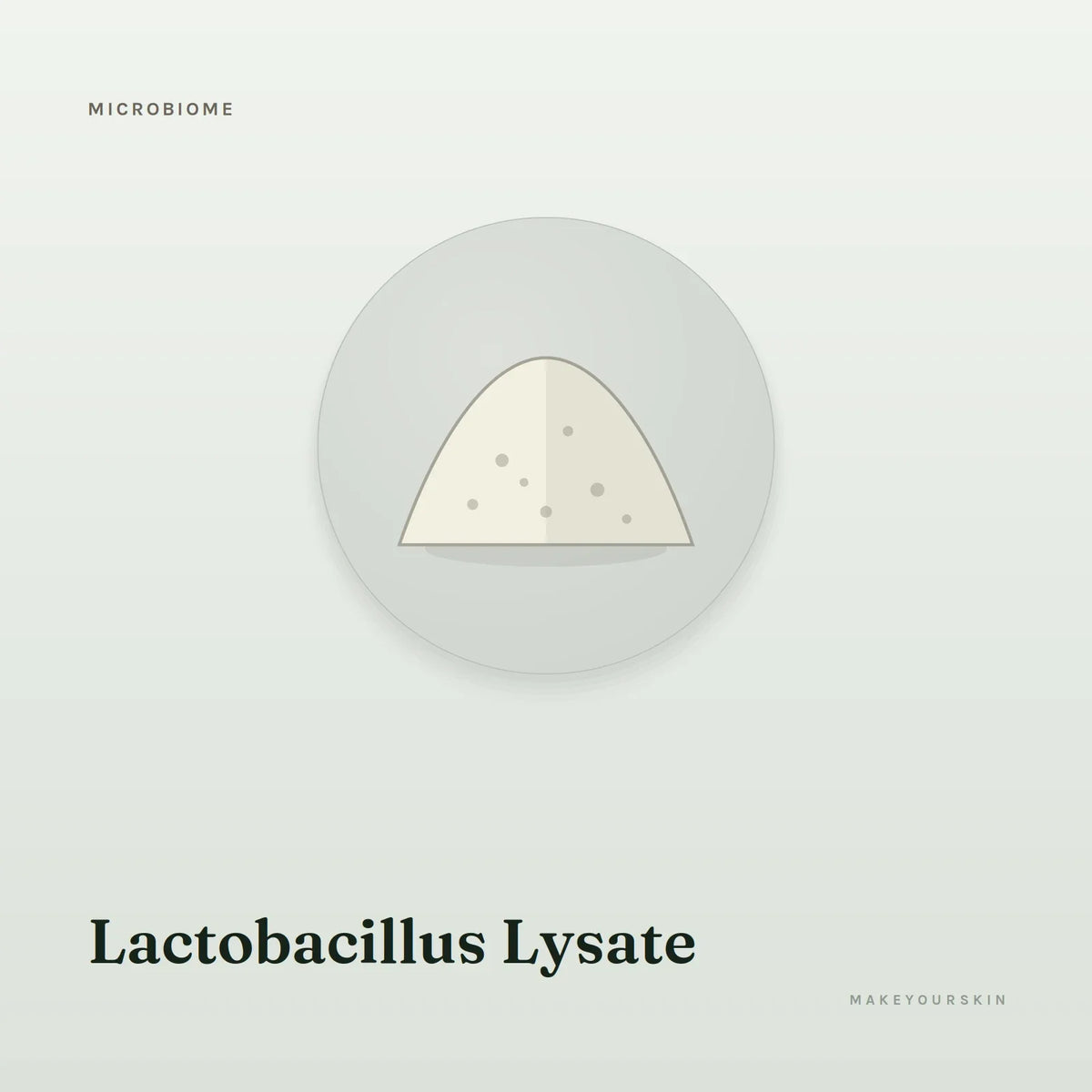Lactobacillus Lysate — powder, Global — MakeYourSkin