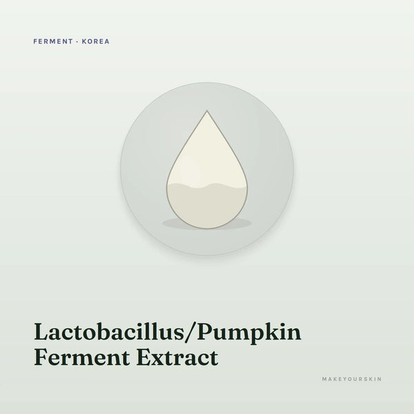 Lactobacillus/Pumpkin Ferment Extract — liquid, Korea · Japan — MakeYourSkin