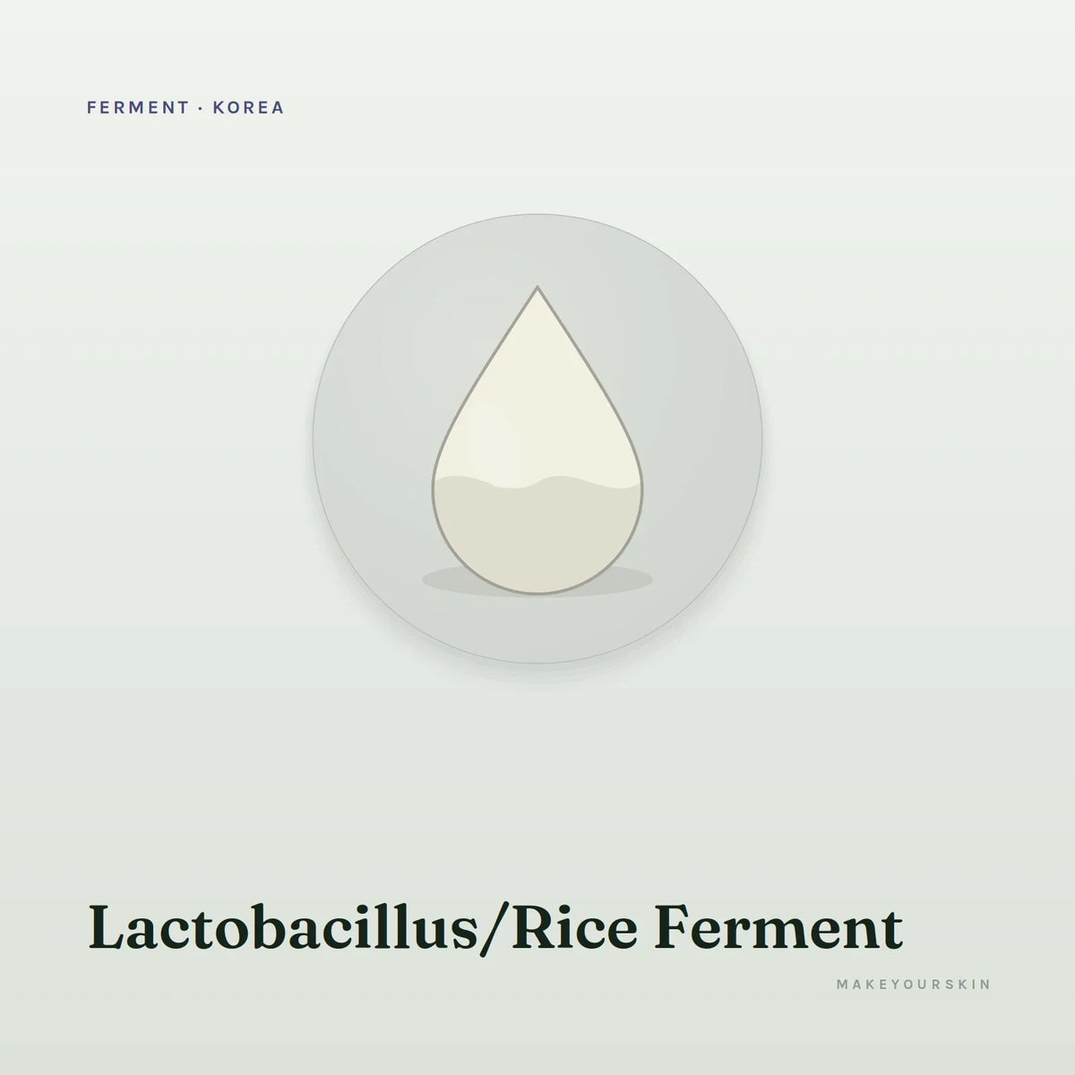 Lactobacillus/Rice Ferment — liquid, Korea · Japan — MakeYourSkin