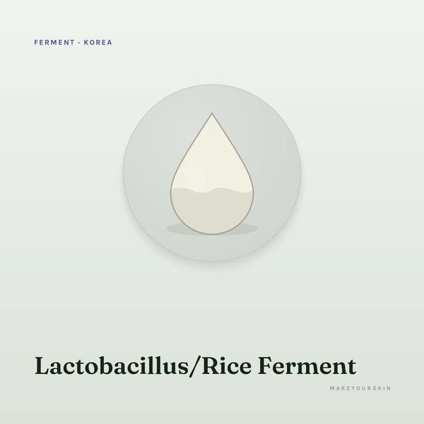 Lactobacillus/Rice Ferment — liquid, Korea · Japan — MakeYourSkin