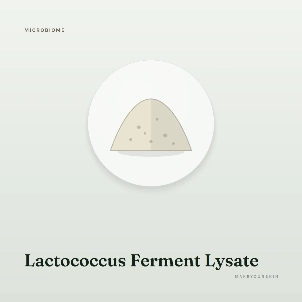 Lactococcus Ferment Lysate — powder, Global — MakeYourSkin