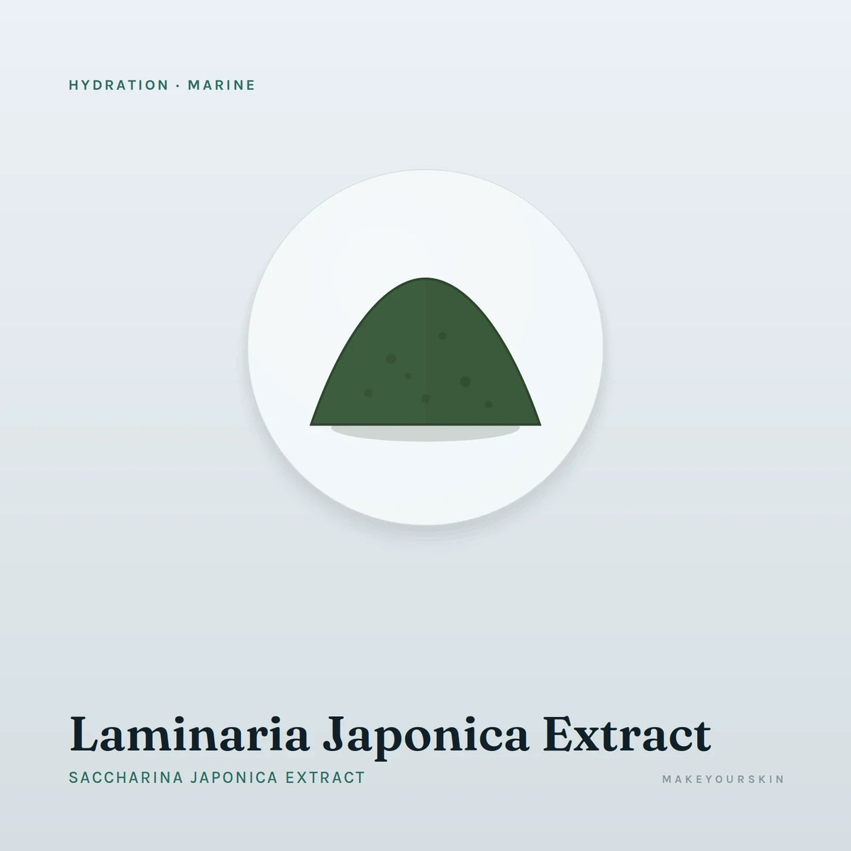 Laminaria Japonica Extract (Saccharina Japonica Extract) — powder, Marine · Algae — MakeYourSkin