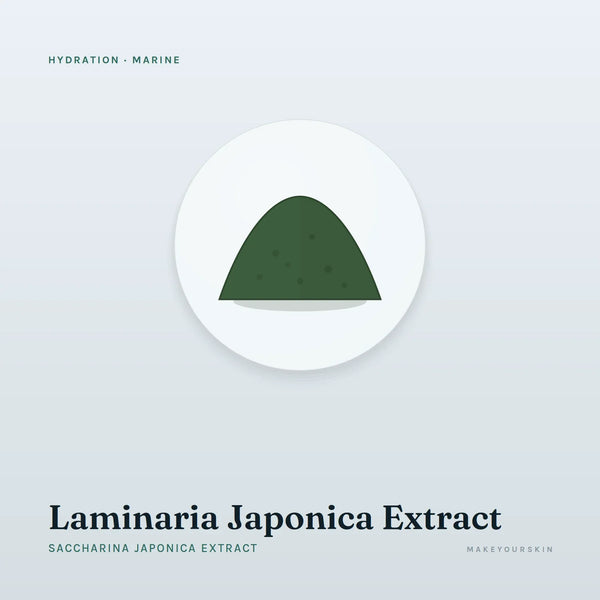 Laminaria Japonica Extract (Saccharina Japonica Extract) — powder, Marine · Algae — MakeYourSkin