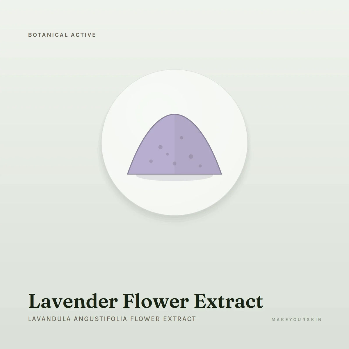 Lavender Flower Extract (Lavandula Angustifolia Flower Extract) — powder, Global — MakeYourSkin