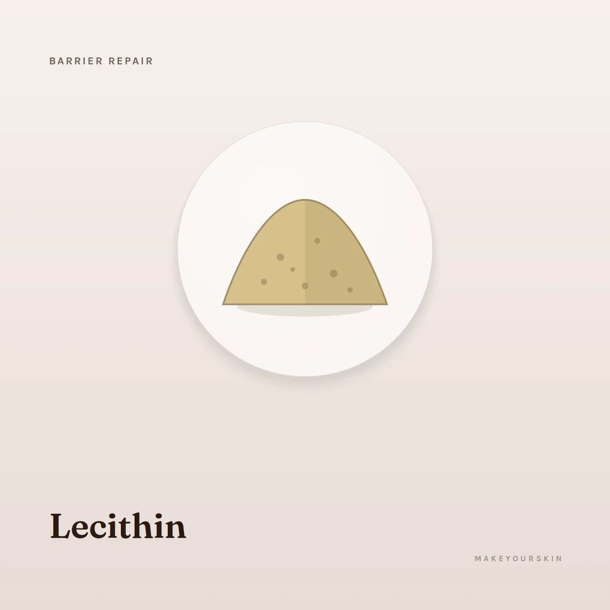 Lecithin — powder, Global — MakeYourSkin