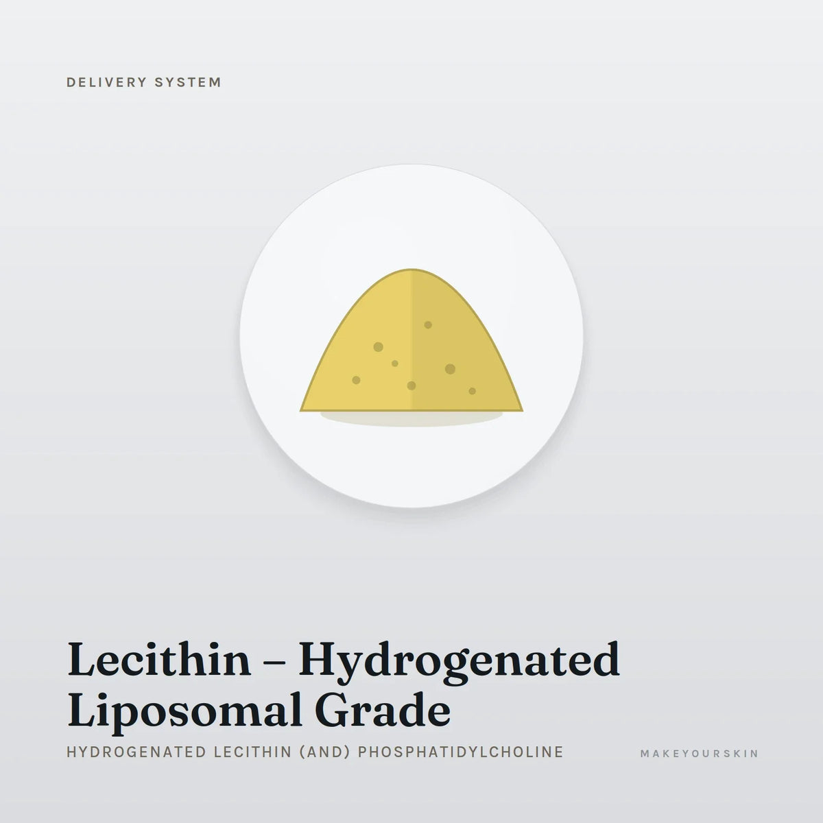 Lecithin – Hydrogenated Liposomal Grade (Hydrogenated Lecithin (and) Phosphatidylcholine) — powder, Global — MakeYourSkin