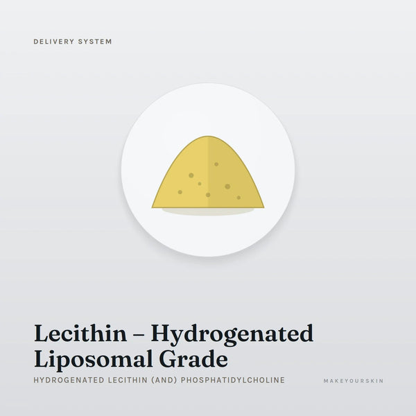 Lecithin – Hydrogenated Liposomal Grade (Hydrogenated Lecithin (and) Phosphatidylcholine) — powder, Global — MakeYourSkin