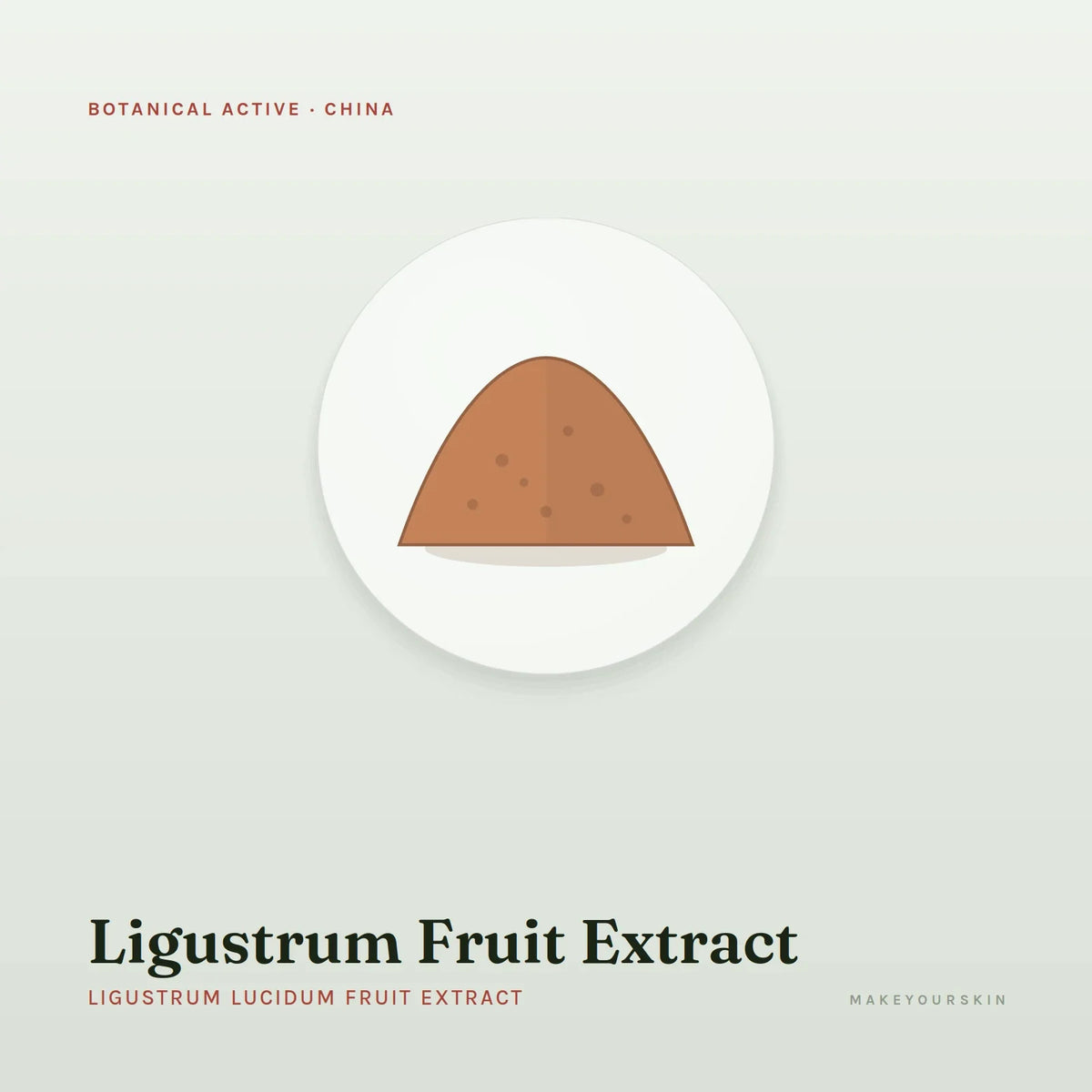 Ligustrum Fruit Extract (Ligustrum Lucidum Fruit Extract) — powder, China · TCM — MakeYourSkin