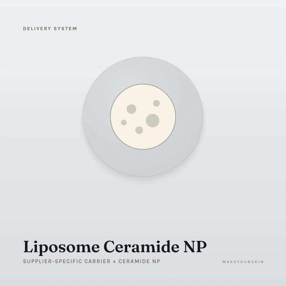 Liposome Ceramide NP (Supplier-specific carrier + Ceramide NP) — dispersion, Global — MakeYourSkin
