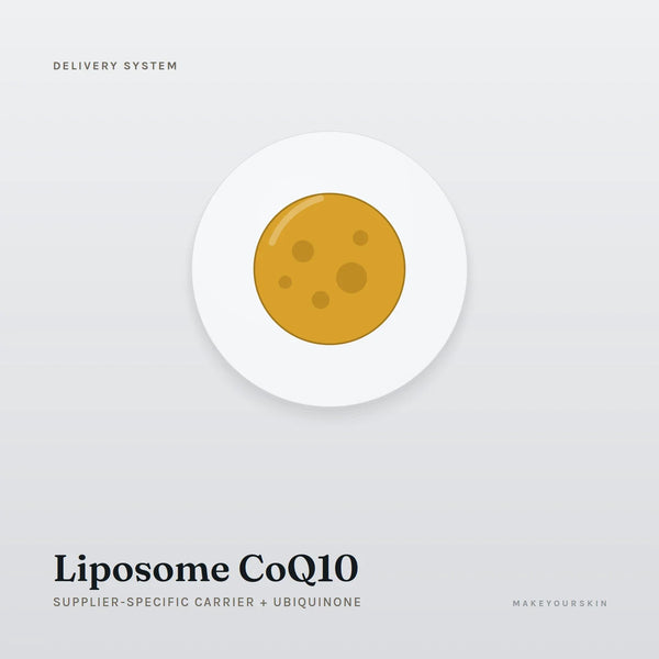 Liposome CoQ10 (Supplier-specific carrier + Ubiquinone) — dispersion, Global — MakeYourSkin