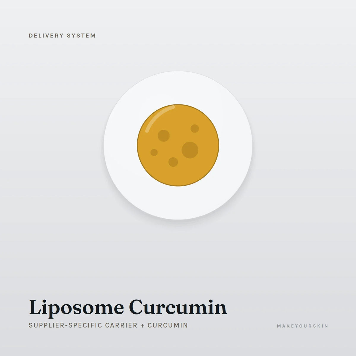 Liposome Curcumin (Supplier-specific carrier + Curcumin) — dispersion, Global — MakeYourSkin