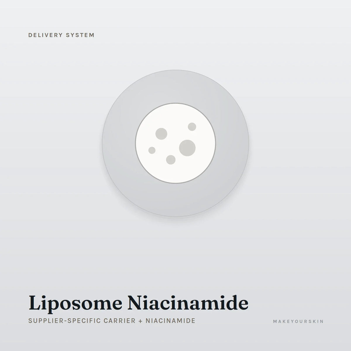 Liposome Niacinamide (Supplier-specific carrier + Niacinamide) — dispersion, Global — MakeYourSkin