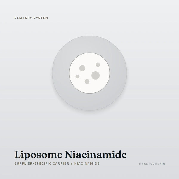 Liposome Niacinamide (Supplier-specific carrier + Niacinamide) — dispersion, Global — MakeYourSkin